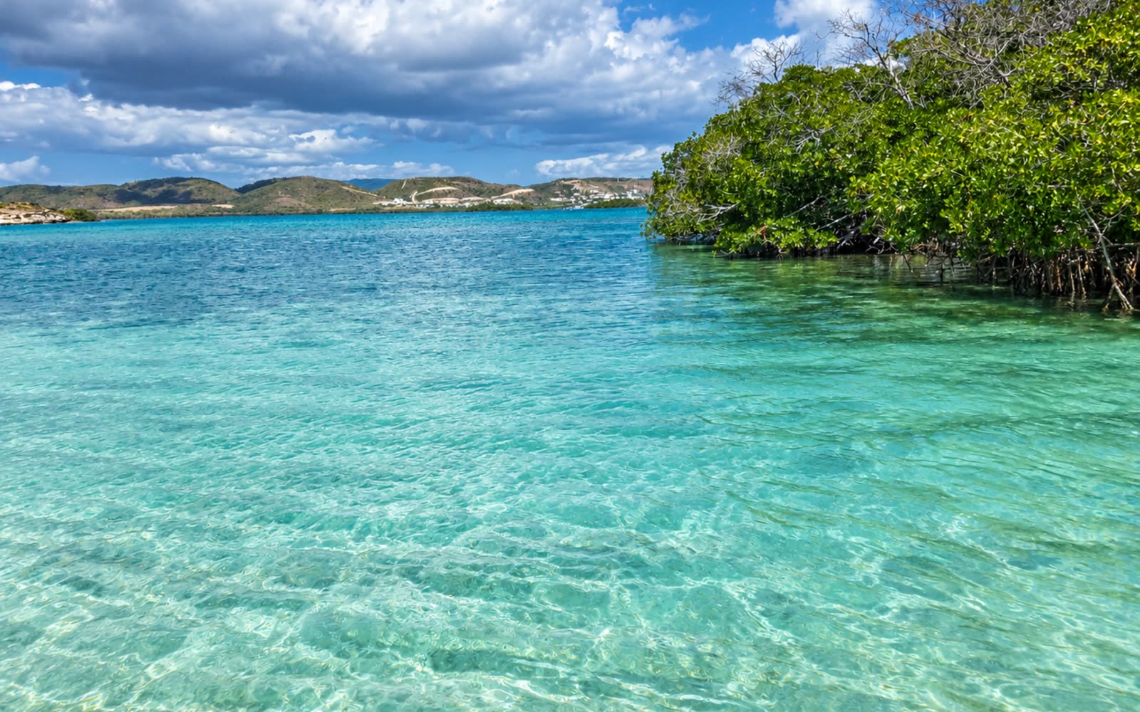 Cayo Collado